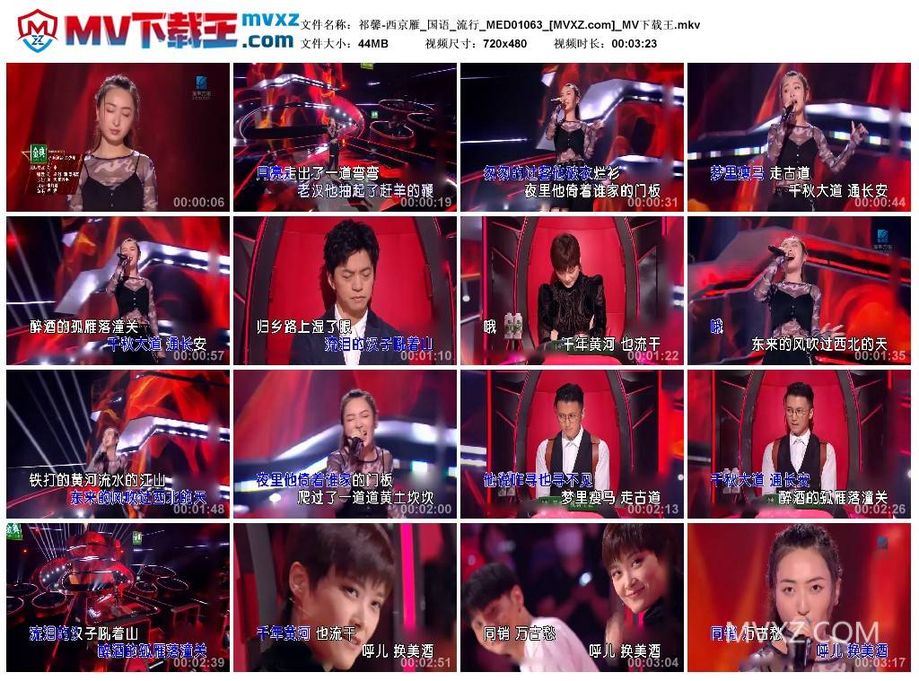 祁馨-西京雁_国语_流行_MED01063